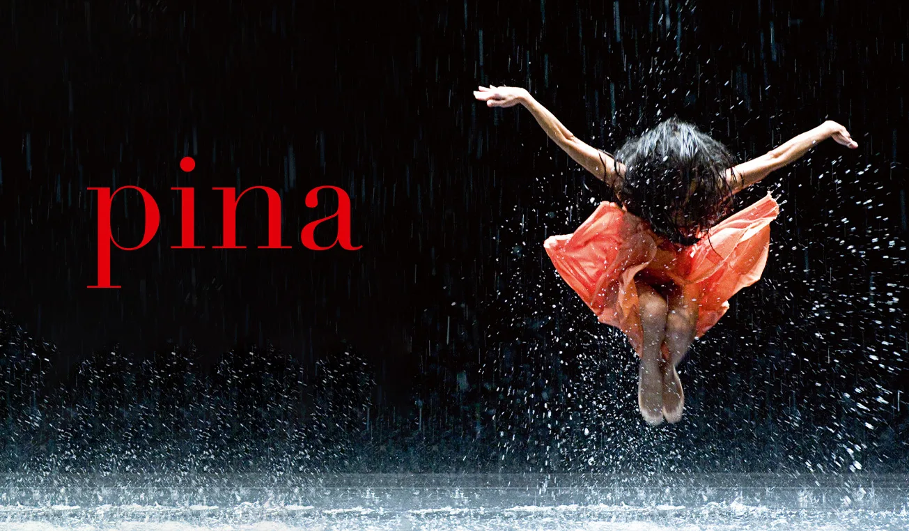 Capa de Pina