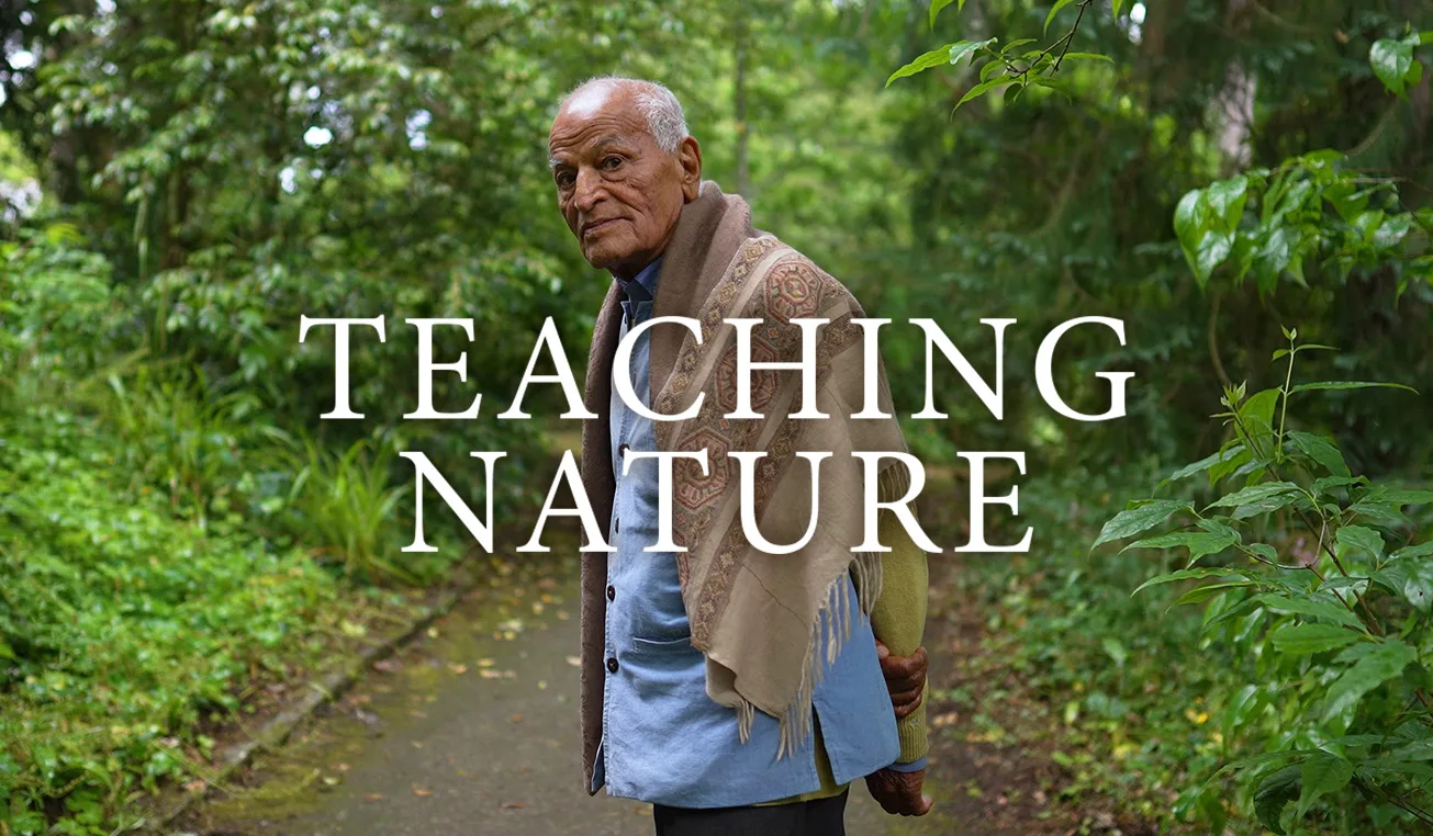Capa de Teaching Nature